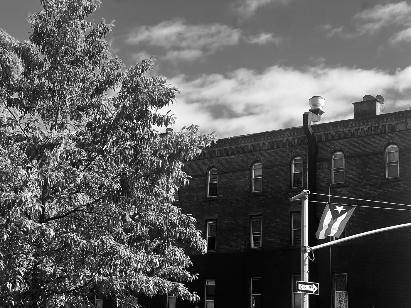 Bronx Flag